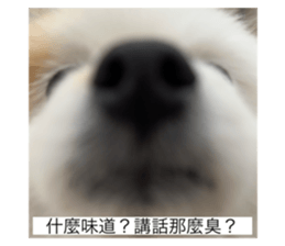 744810551