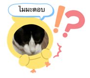 744856611
