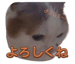 744880645