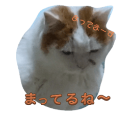 744880648