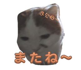 744880654