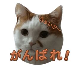 744880656