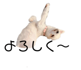 744881289