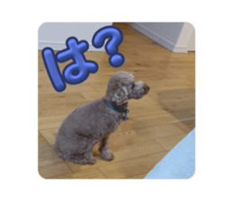 744883577