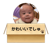 744885018