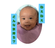 744885026