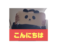 744885054