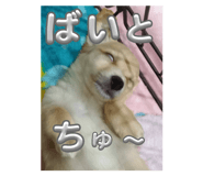 744886127