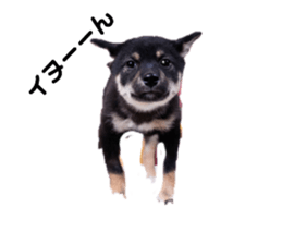 744898024