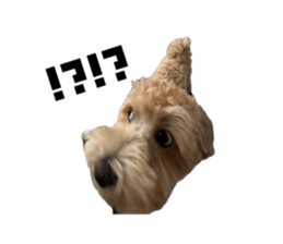 744898075