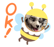 744912220