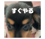 744916735
