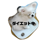 744916748