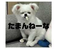 744916753