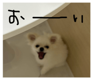 744916756