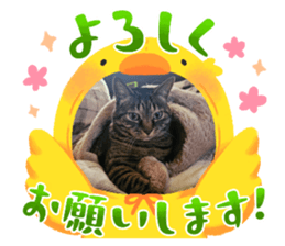 744918219