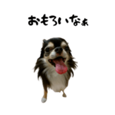 744925493