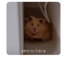 744932015