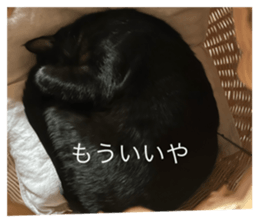 744932436