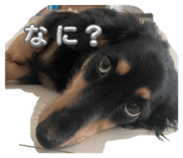744933697