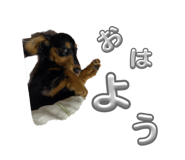 744934389