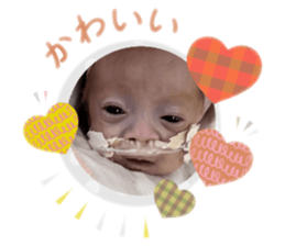 744935455