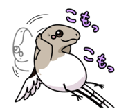 744937164
