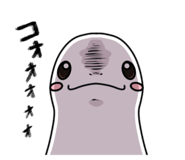 744937181