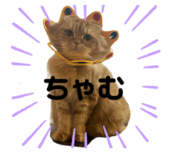 744939017