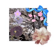 744953163