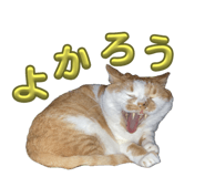744956379