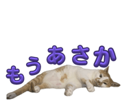 744956384
