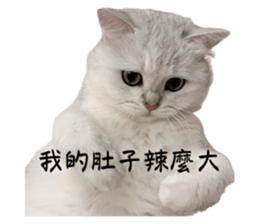 744963505