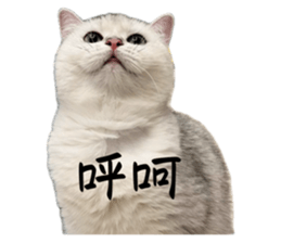 744963508