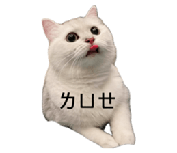 744963521