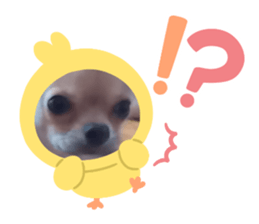 744979487