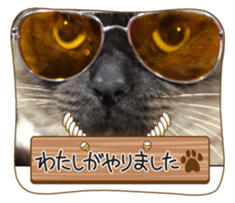 744981084
