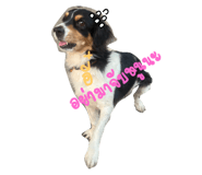 744985217