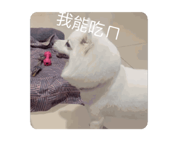 744988116