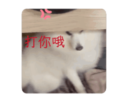 744988117