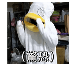 744992358