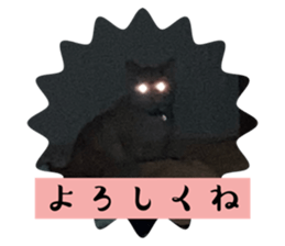 744995425