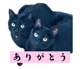 744995428