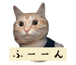 744995446