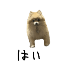 744995861