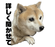 744997795