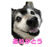 744997796