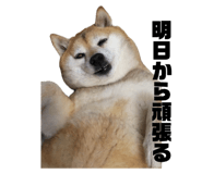 744997818