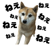 744997819