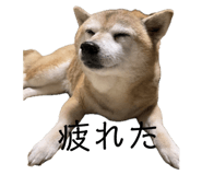 744997822